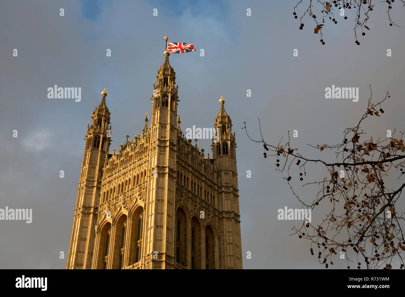 Vue sur les Maisons du Parlement de Victoria Tower Gardens contre une lumière Banque D'Images