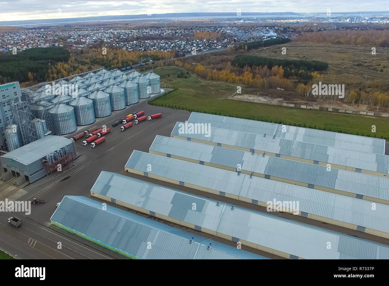 Plante grasse. Pour le traitement en usine graisse et huile. La production industrielle des aliments Banque D'Images