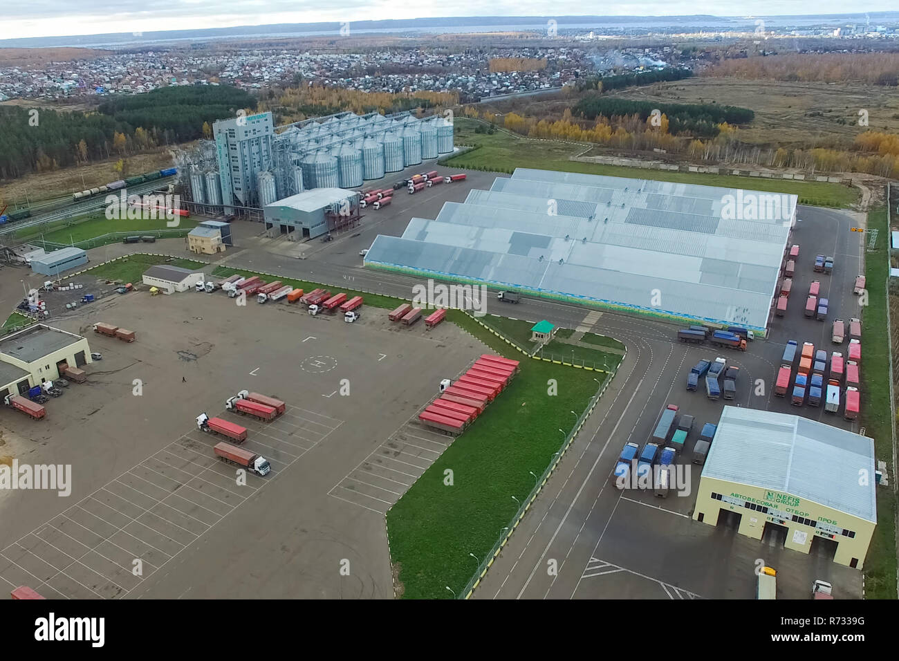 Plante grasse. Pour le traitement en usine graisse et huile. La production industrielle des aliments Banque D'Images