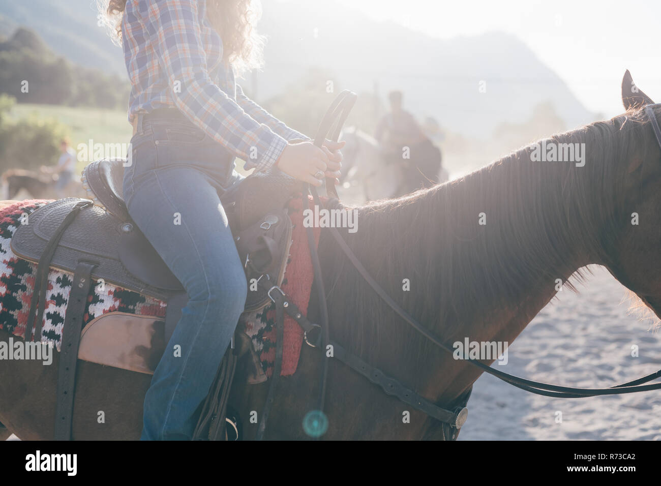 Young woman riding horse in sunlit equestrian arena, recadré, Primaluna, Trentino-Alto Adige, Italie Banque D'Images