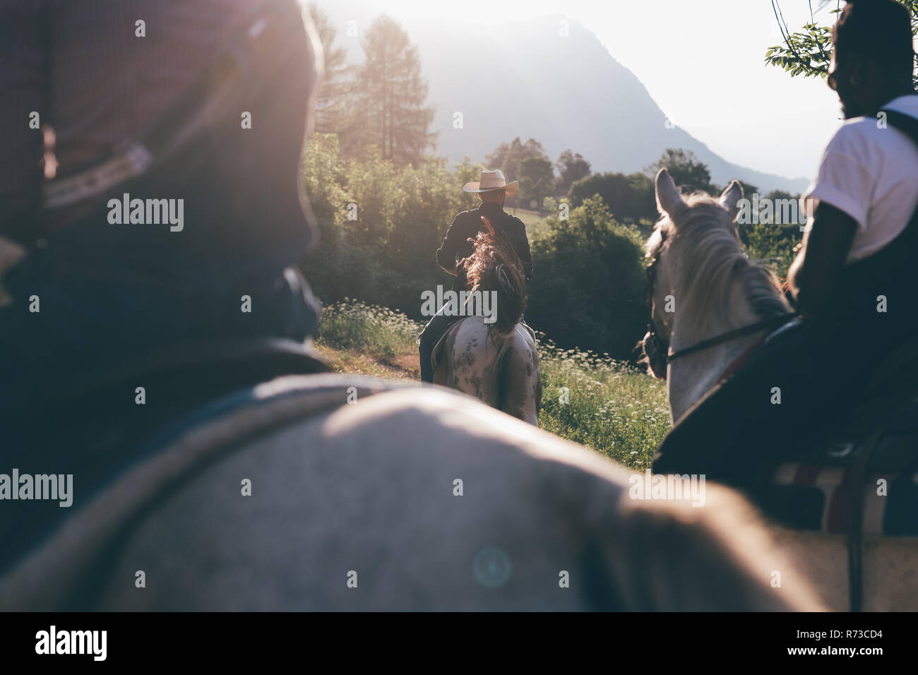 Les jeunes adultes équitation dans domaine rural, cropped vue arrière, Primaluna, Trentino-Alto Adige, Italie Banque D'Images