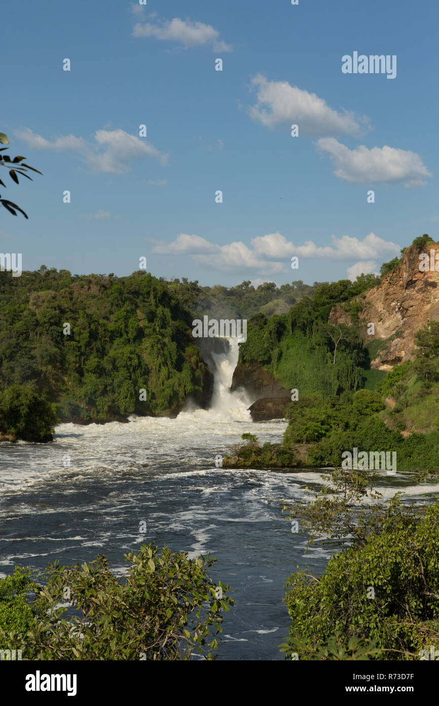 La rivière du Nil et de la cascade de Murchison Falls National Park, de l'Ouganda Banque D'Images