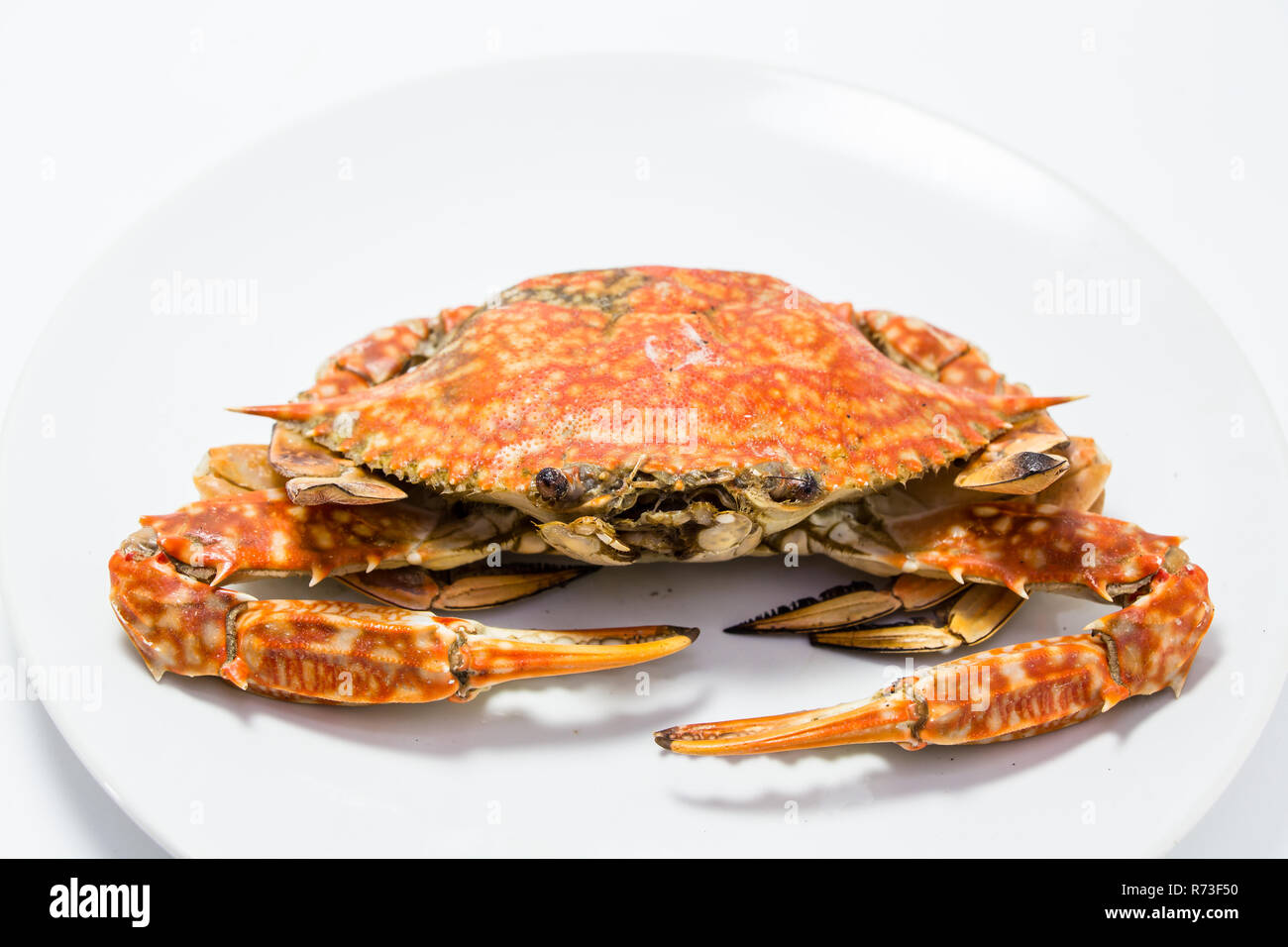 Les crabes grillés sur le barbecue. Restaurant buffet grill Banque D'Images