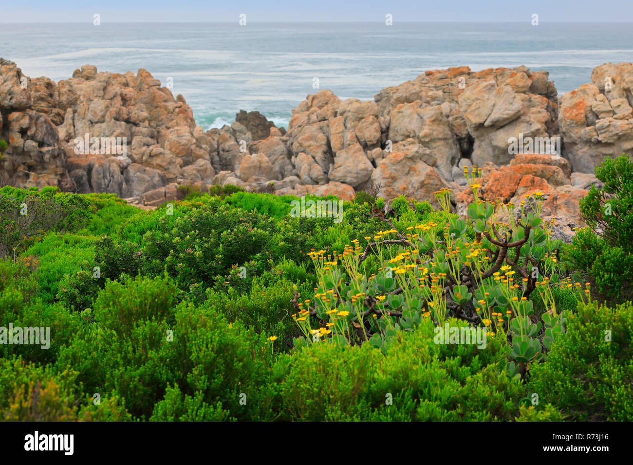 Océan Atlantique, Kleinmond, Western Cape, Afrique du Sud, l'Afric Banque D'Images