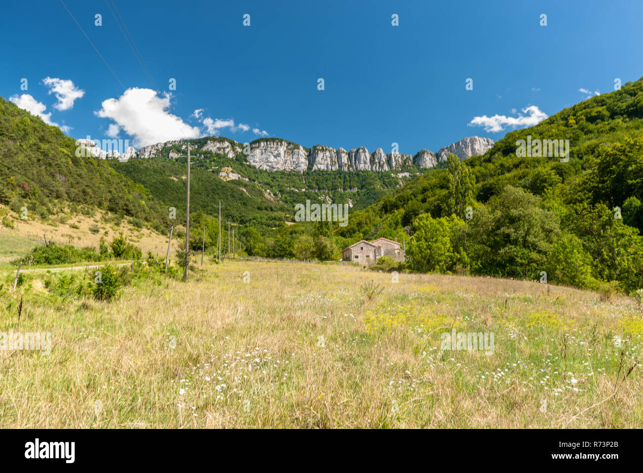 Le Vercors est situé entre Grenoble et Die et forme le pied des Alpes de la vallée du Rhône à l'ouest. La chaux typiques sont les roches qui towe Banque D'Images