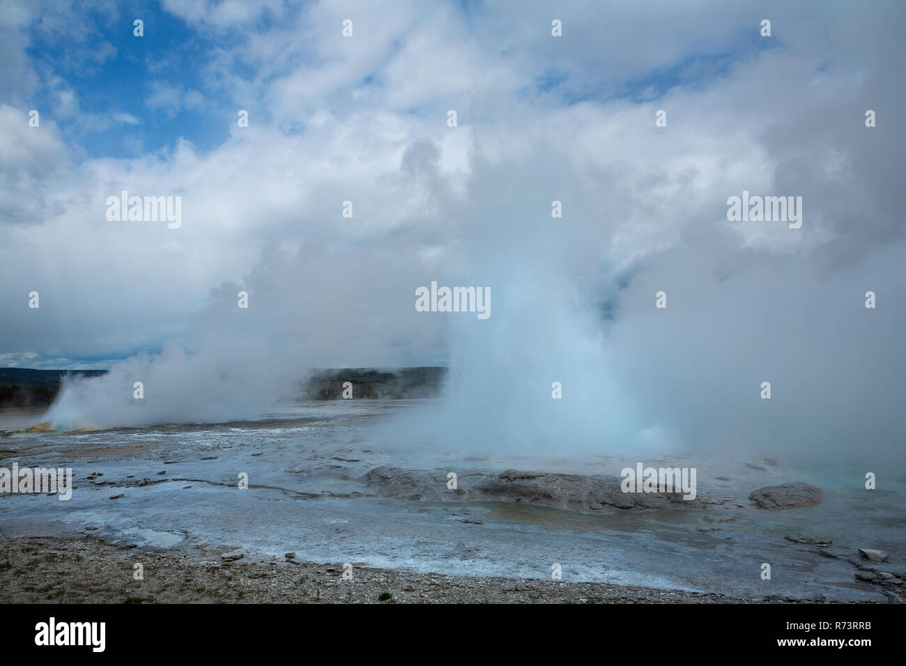 Les spasmes et clepsydre geysers éclatent dans le Parc National de Yellowstone. Wyoming, USA Banque D'Images