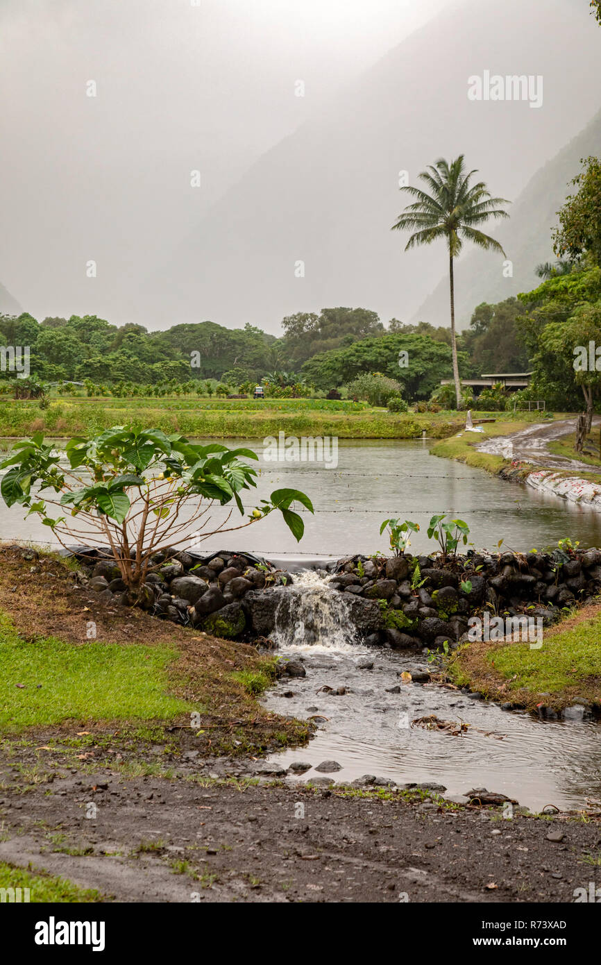 La vallée de Waipi'o sur la grande île d'Hawaï. Banque D'Images