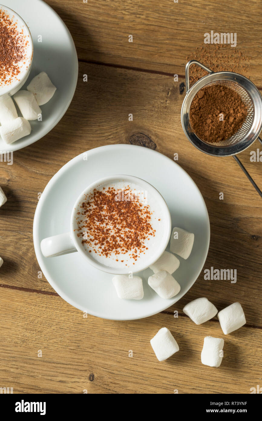 Le lait fait maison saine avec des guimauves et du cacao Babyccino Banque D'Images