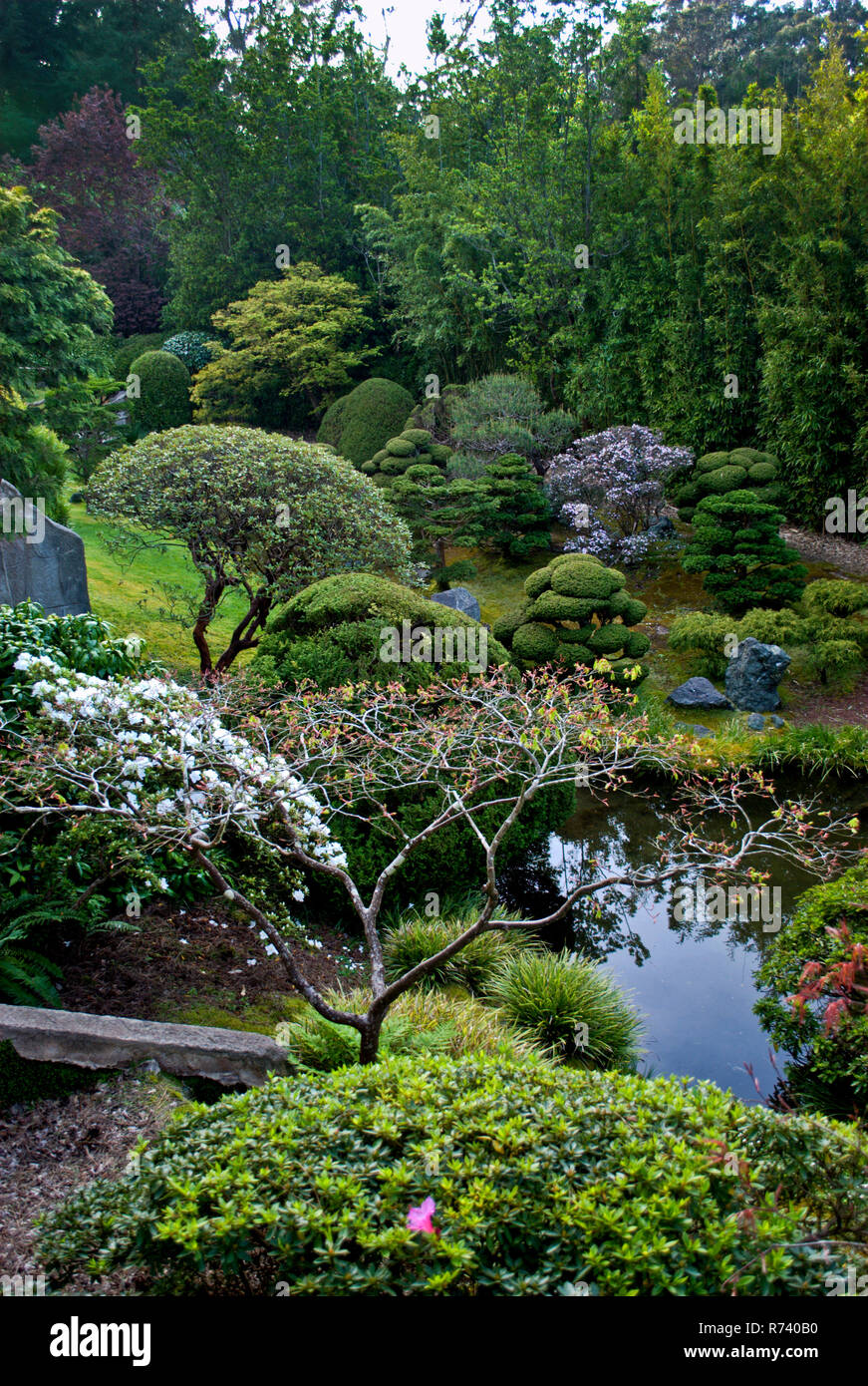 Jardin de thé japonais à San Francisco, Californie le Golden Gate Park Banque D'Images