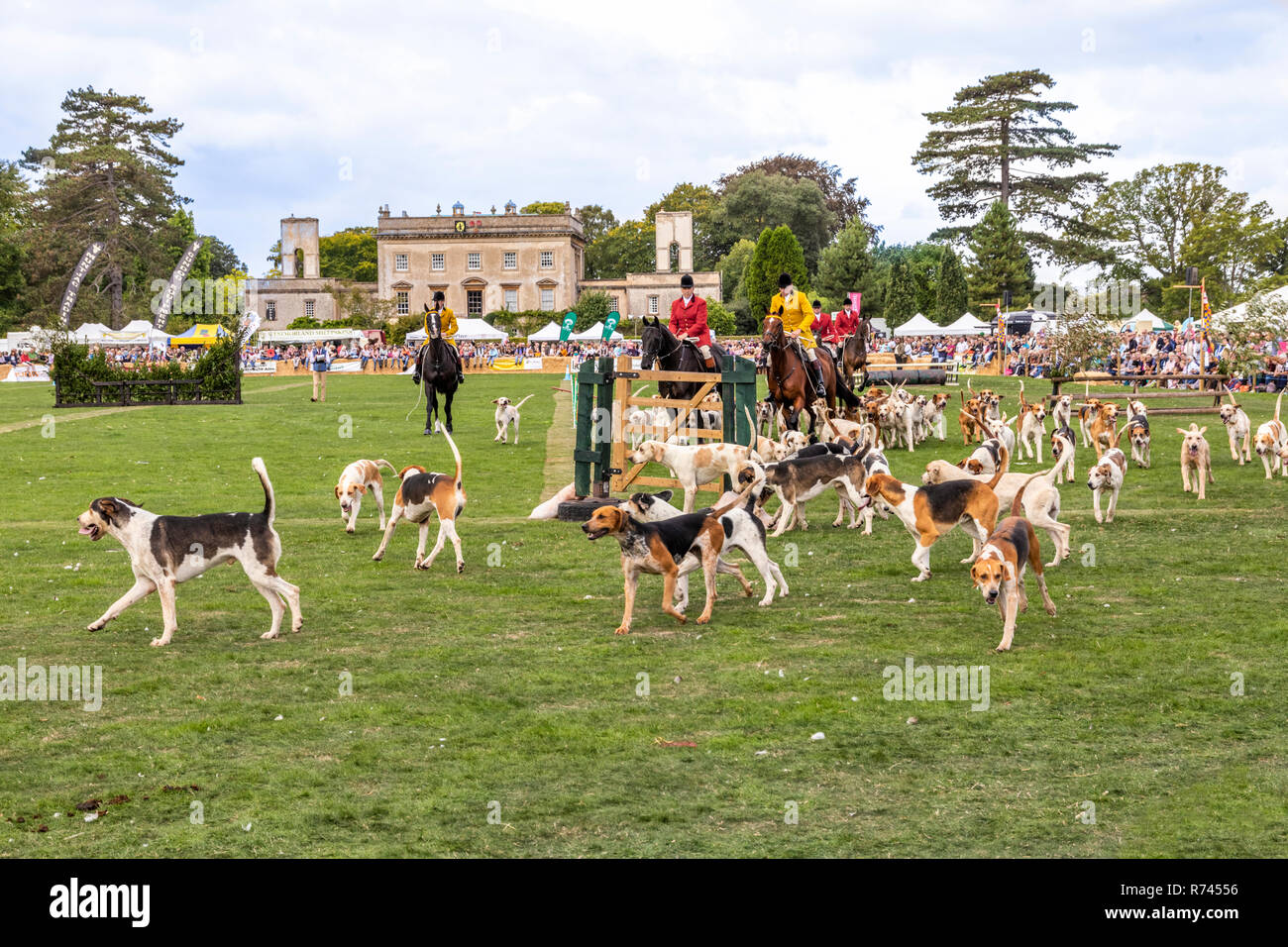 Défilé de masse de chiens au pays de Frampton, 2018 s'est tenu à Frampton, Cour Frampton sur Severn, Gloucestershire UK Banque D'Images