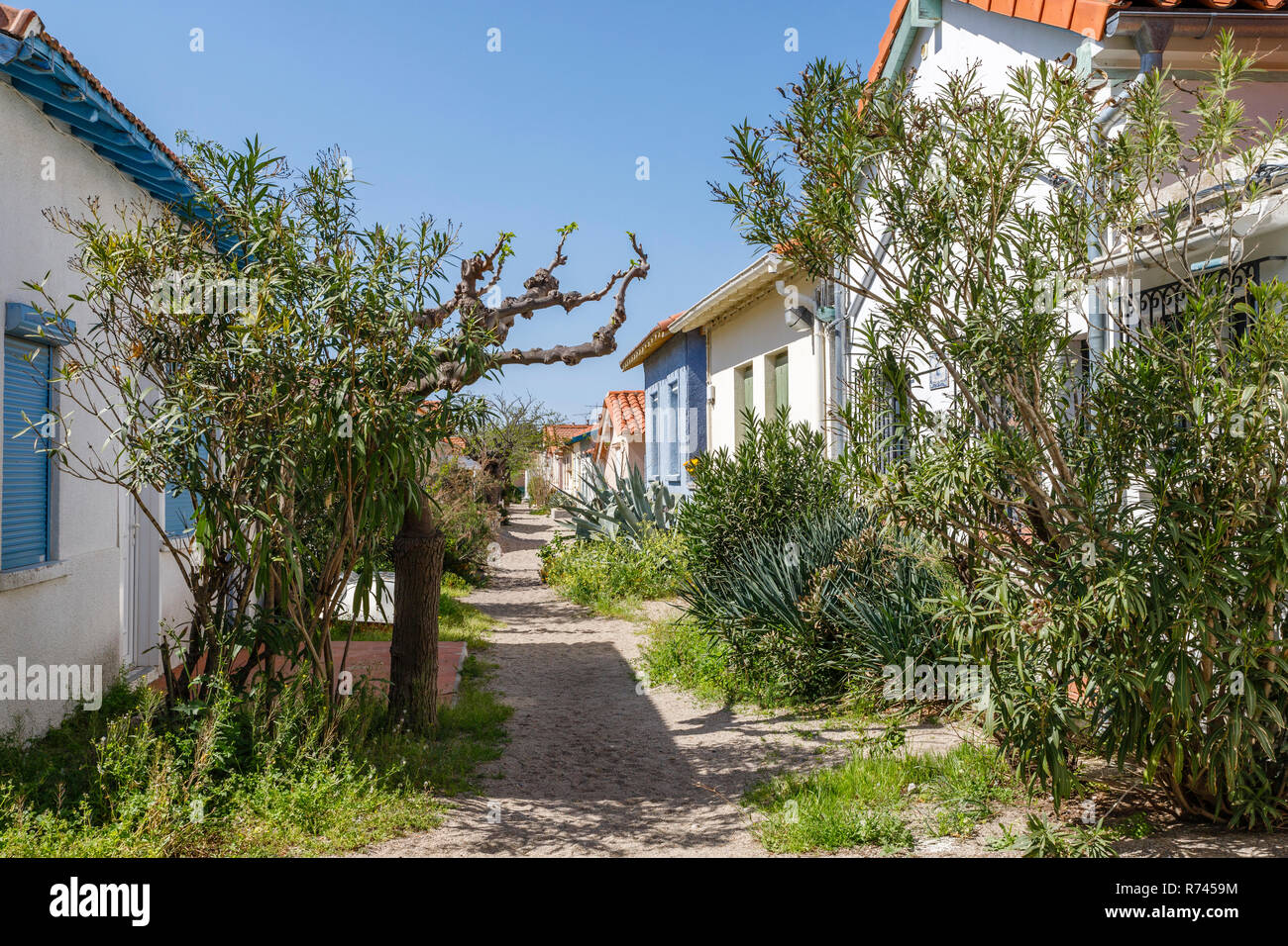 France, Pyrenees Orientales, la Côte Vermeille, Argeles sur Mer, hameau de la Racou // France, Pyrénées-Orientales (66), Argelès-sur-Mer, hameau du Raco Banque D'Images
