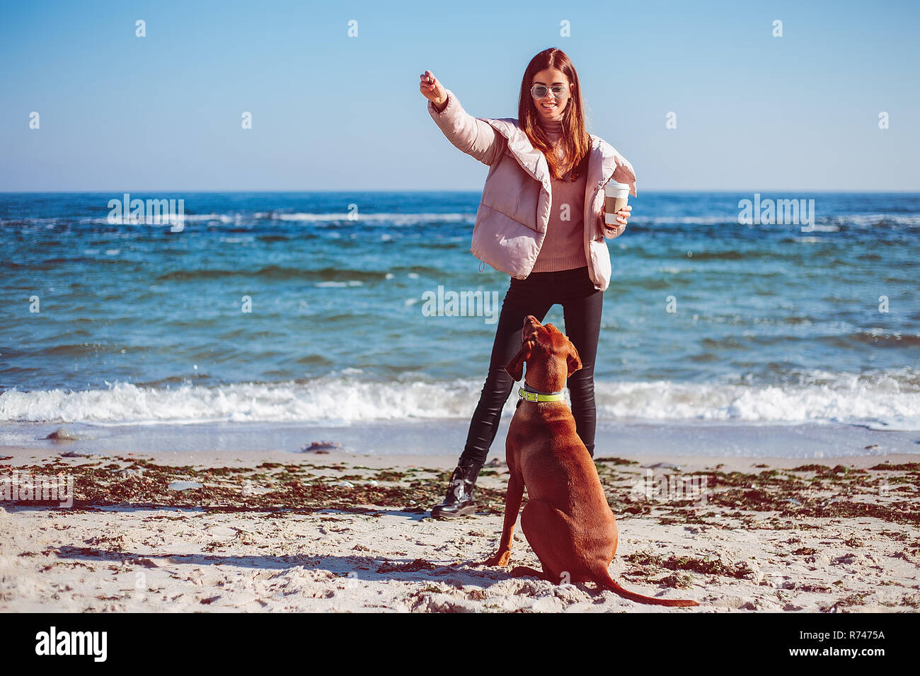 Mid adult woman on beach training son chien, Odessa, Odeska oblast, Ukraine Banque D'Images