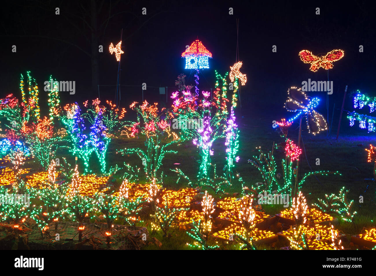 L'éclairage de Noël dans la nuit d'une cabane à jardin dans la nuit, d'un magnifique jardin de nuit scène de lumières de Noël. Banque D'Images
