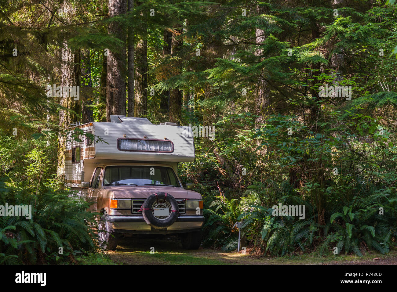 Le camping-car garé sur piste en forêt, Quadra Island, Campbell River, Canada Banque D'Images