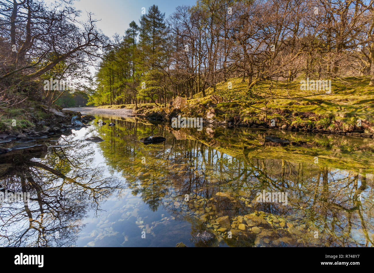 Les arbres forestiers se reflètent dans les eaux de la rivière Derwent in Borrowdale, près de Keswick en Angleterre du Lake District. Banque D'Images