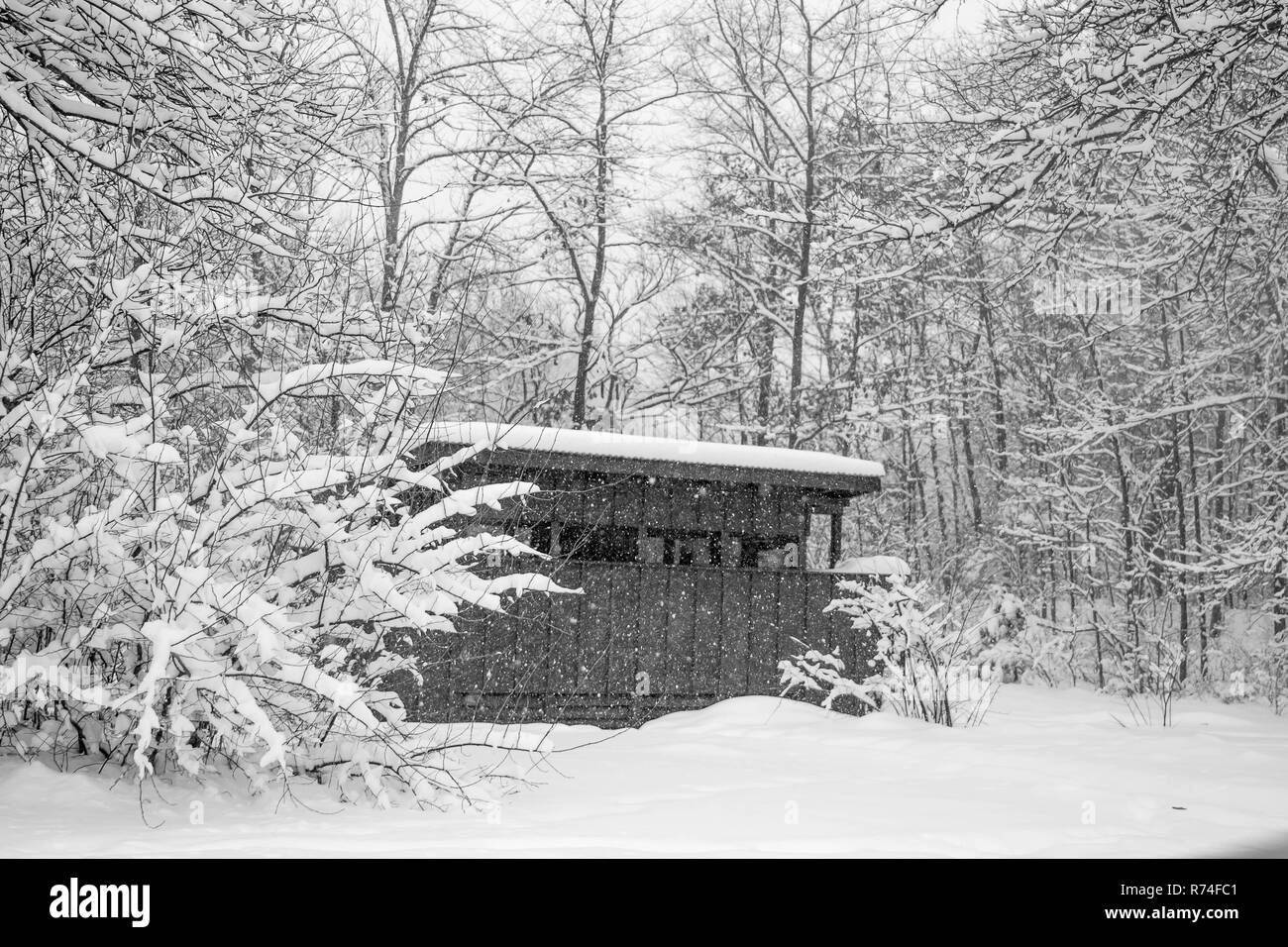 Stephen Gray (C) 2014 | Médias | http://media.seggmedia.com SEGG Banque D'Images