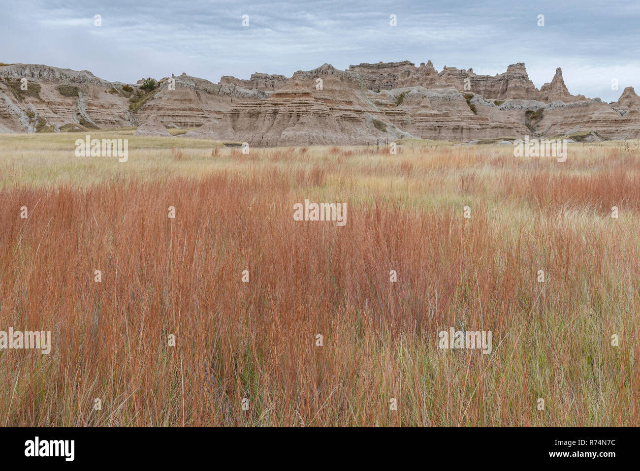 Les formations de l'érosion le long de Old Road, NW de l'automne, Badlands NP, S. Dakota, USA, par Dominique Braud/Dembinsky Assoc Photo Banque D'Images