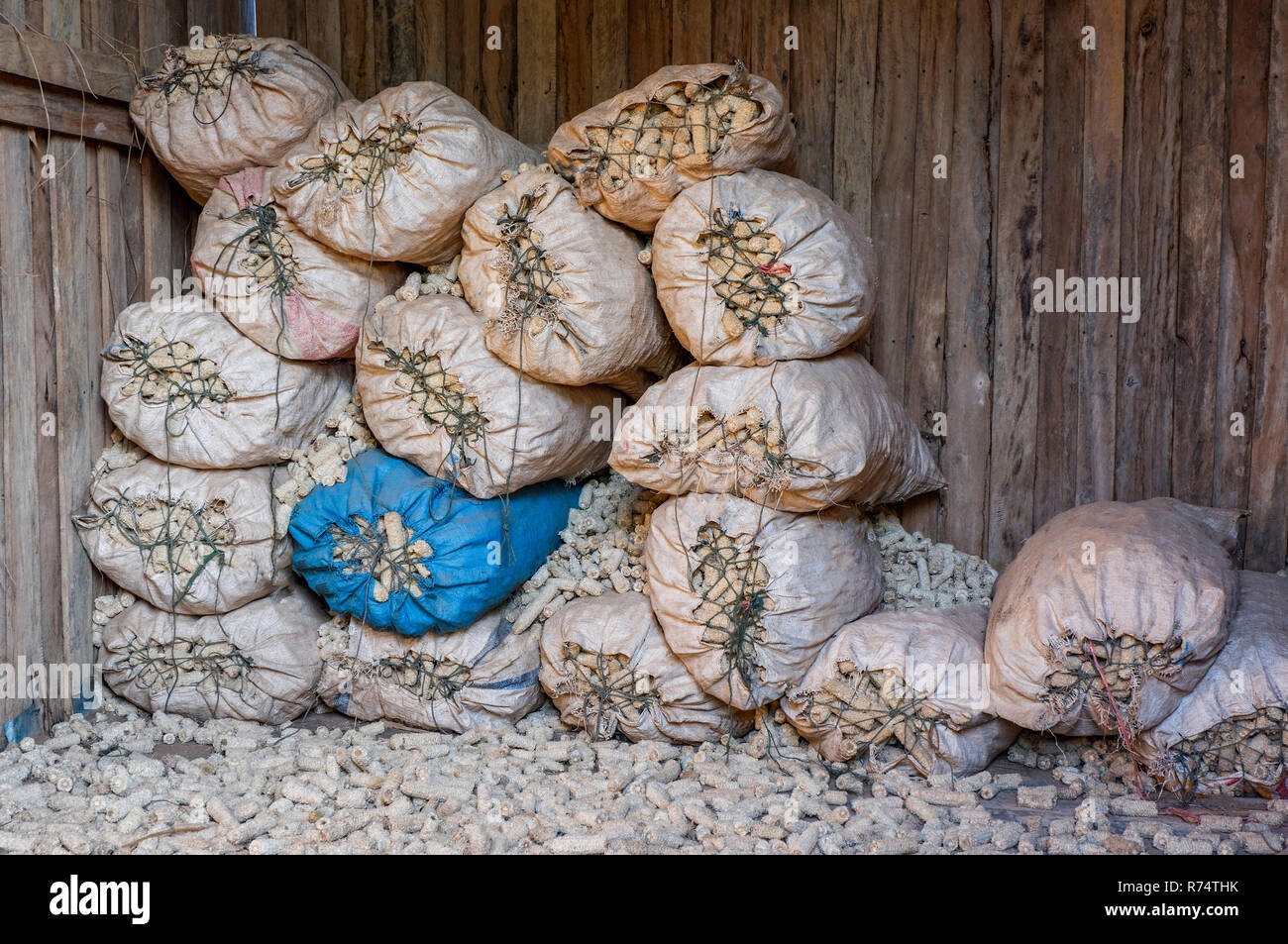 Sac rafle de l'agriculture / sac d'engrais de pile de tiges de maïs dans la basse-cour de la récolte agricole moulin à maïs Banque D'Images