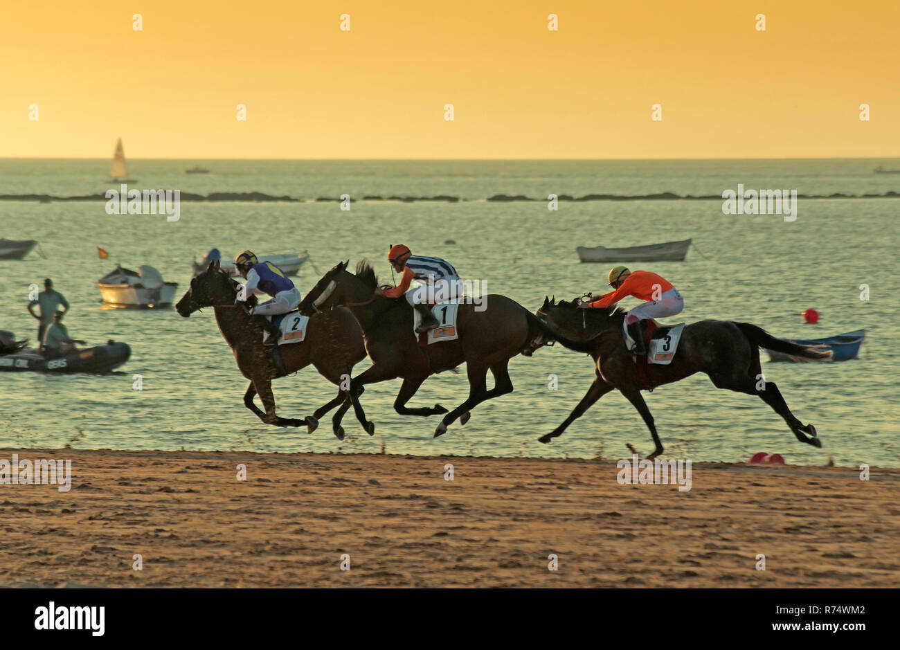 Traditionals les courses de chevaux sur la plage - depuis 1845. Sanlucar de Barrameda. La province de Cádiz. Région de l'Andalousie. L'Espagne. L'Europe Banque D'Images
