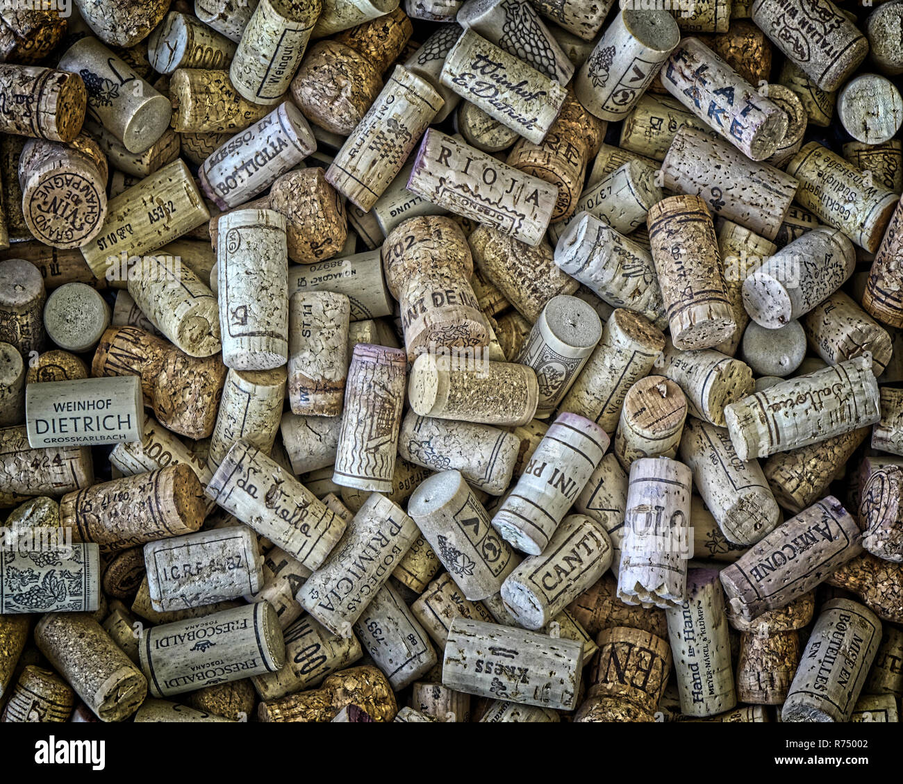 Photographie : CONCEPT In Vino Veritas Banque D'Images