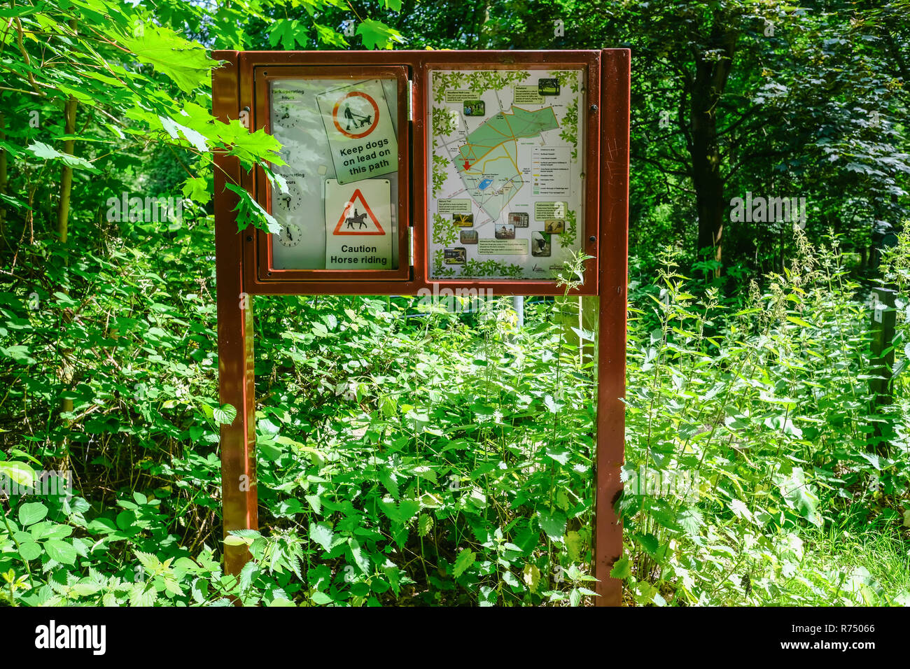 Hainaut Country Park, Essex, UK - 6 juin 2018 : tableau d'affichage en verre donnant des directives sur une carte de la forêt et directions pour les utilisateurs. Banque D'Images