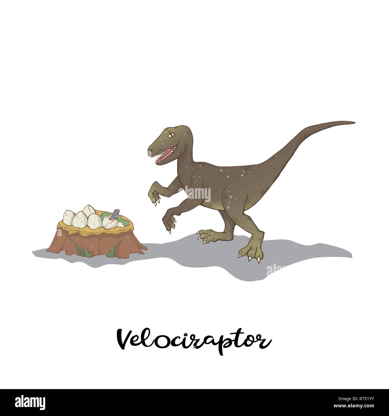 Dinosaure Velociraptor avec nid isolé sur un fond blanc. Wild hunter predator Illustration de Vecteur