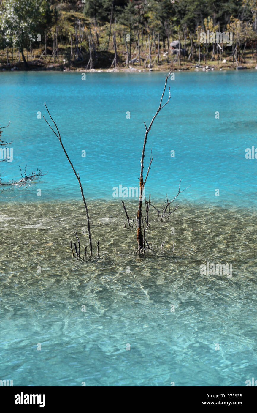 L'eau claire de la rivière de la vallée de la Lune Bleue, Snow Mountain Yulong à Lijiang, Yunnan, Chine. Banque D'Images