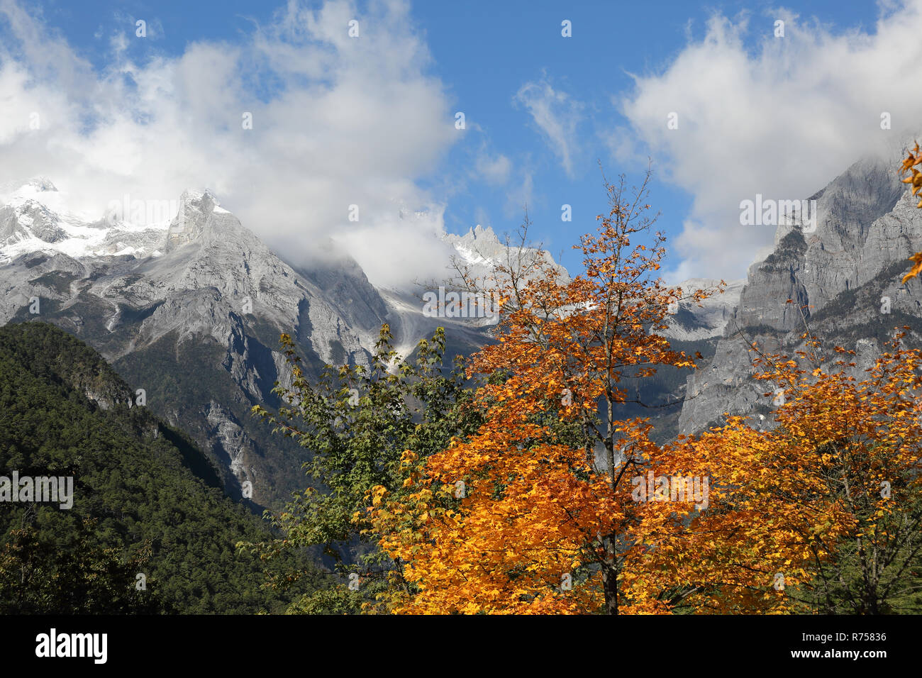 Blue Moon Valley à Lijiang, Yunnan Province, le sud-ouest de la Chine Banque D'Images