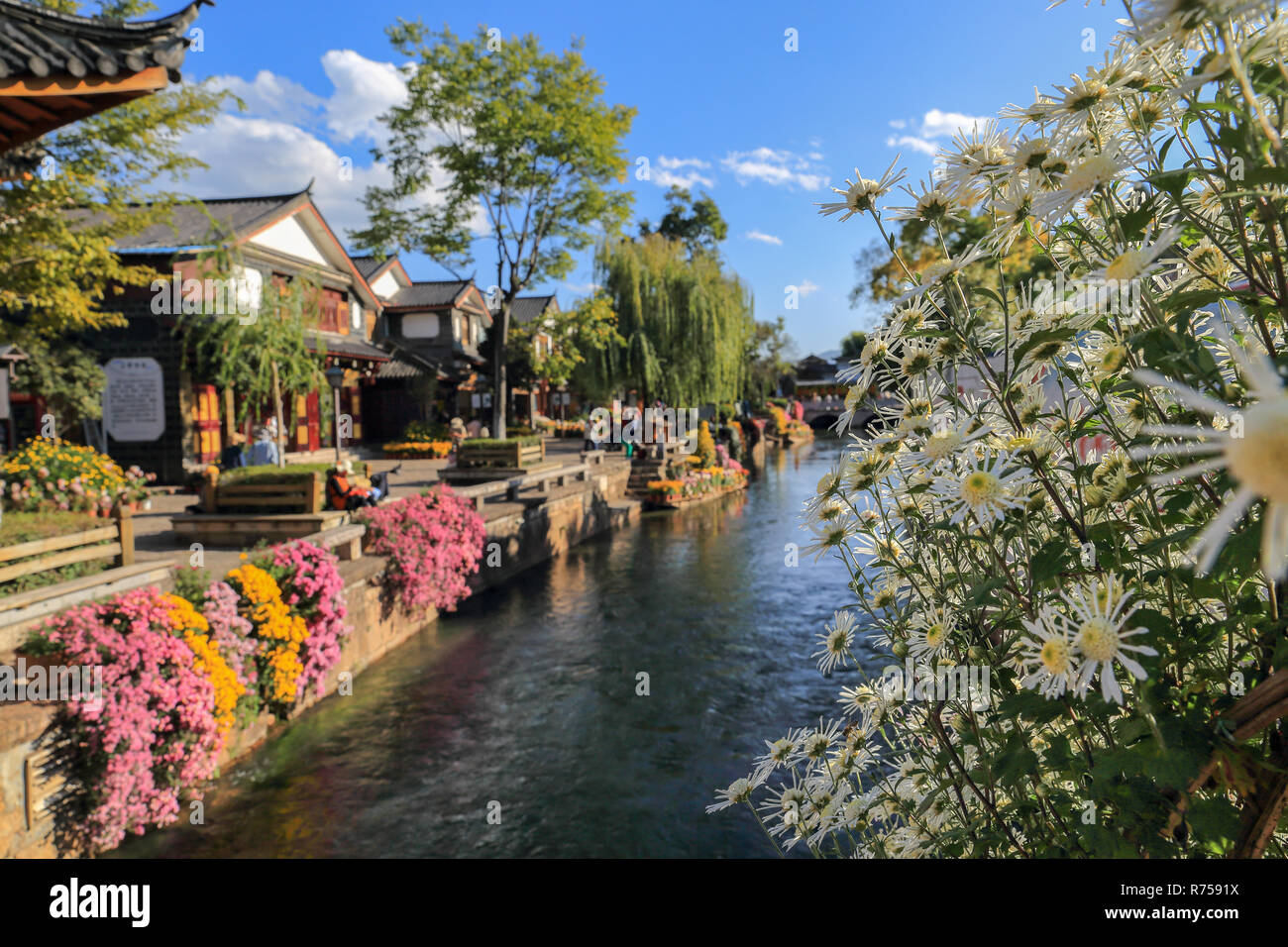 Creek à Lijiang old town , , site du patrimoine mondial de Yunnan, Chine, Asie Banque D'Images