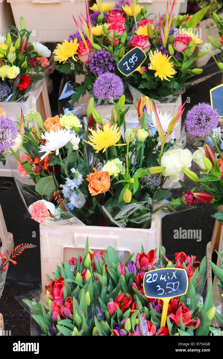 Sur le marché aux fleurs Banque D'Images