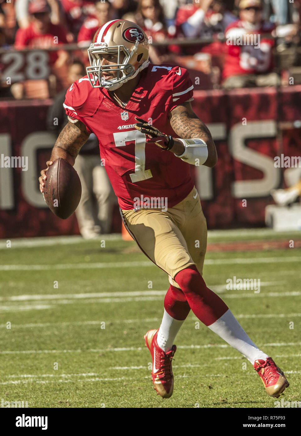 San Francisco, Californie, USA. 13 Oct, 2013. San Francisco 49ers quarterback Colin Kaepernick (7) n'a plus de poche pour faire passer le dimanche, 13 octobre 2013 à San Francisco, Californie. Les 49ers défait les cardinaux 32-20. Crédit : Al Golub/ZUMA/Alamy Fil Live News Banque D'Images