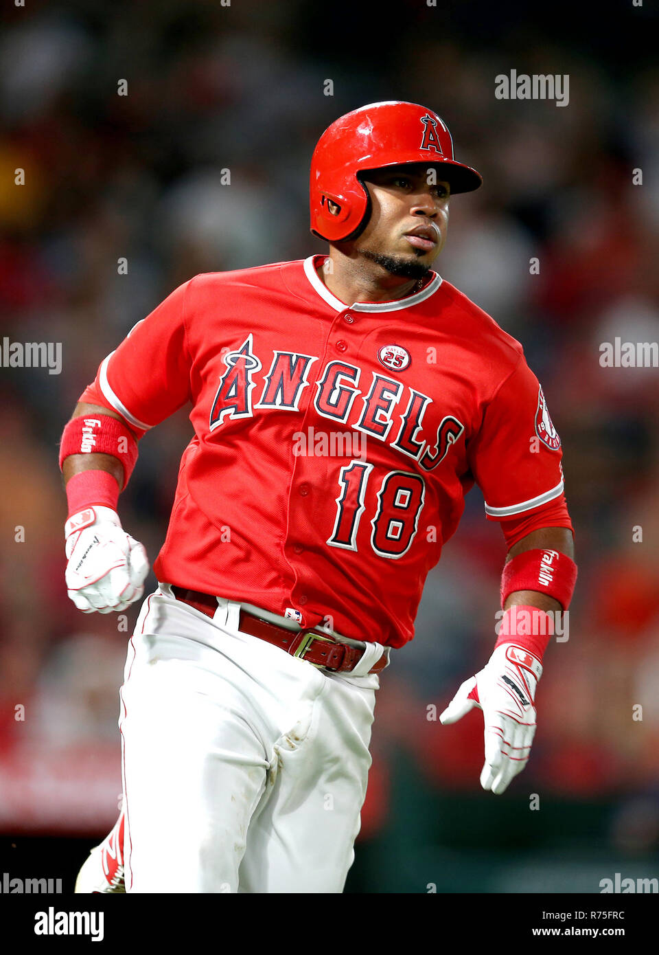 Décembre 07, 2018 Anaheim, CA.(FICHIER PHOTOS) Deux joueurs de baseball professionnel est mort dans un vol aller de travers en Venezuela quand ils s'écrasa leur voiture tout en esquivant un piège placé par des bandits, selon des rapports.(18) Luis Valbuena, une ligue majeure de 11 ans, ancien combattant et ancien joueur de ligue majeure de Jose Castillo ont été tués jeudi lorsque la voiture a renversé tout en essayant d'éviter un rocher placé sur leur chemin, El Nuevo Herald a signalé.Luis Valbuena frappe un coup de circuit contre les Astros de Houston le mercredi, Septembre 13, 2017. (Photographe complète absolue & Company Crédit : Juan L Banque D'Images