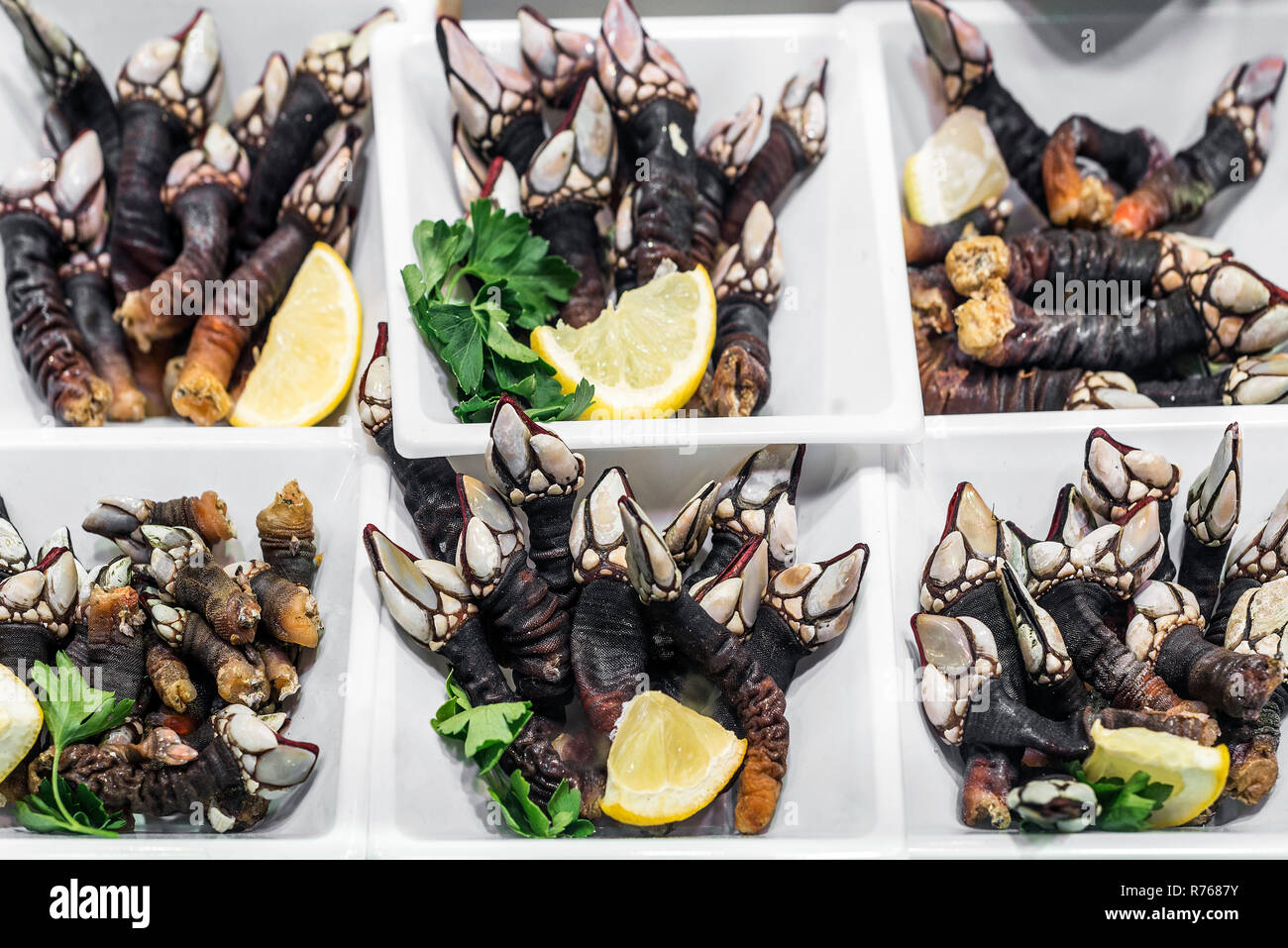 Les balanes oie percebes inhabituelle rare sur l'affichage de fruits de mer au Portugal Banque D'Images