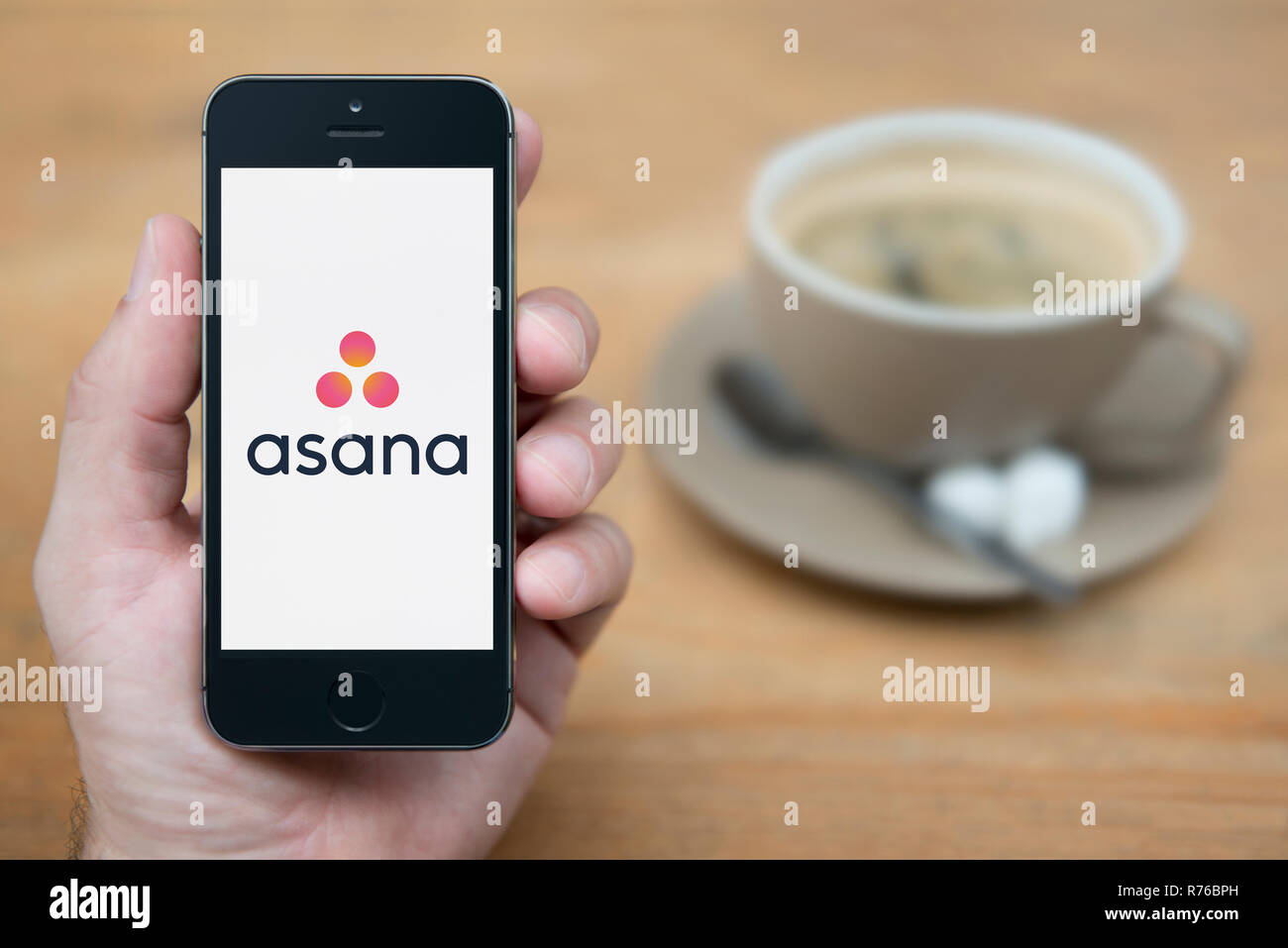 Un homme se penche sur son iPhone qui affiche le logo d'asanas (usage éditorial uniquement). Banque D'Images