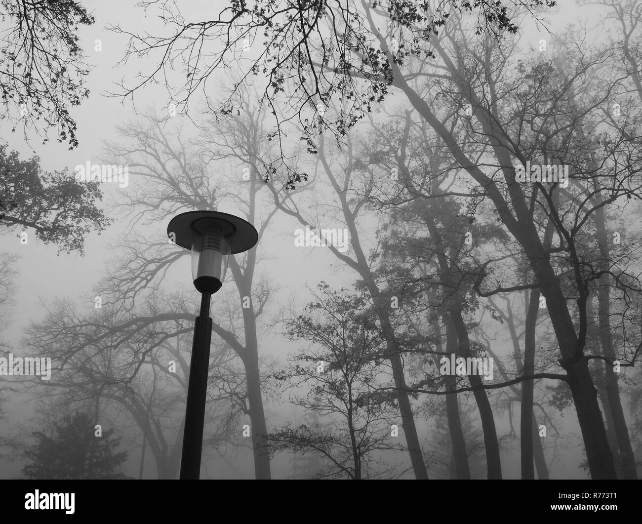 Une lampe solitude debout dans un parc d'automne Banque D'Images