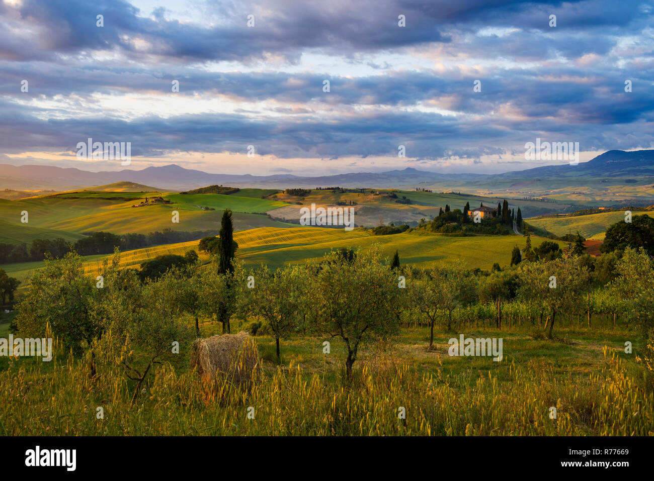 Lever du soleil, le paysage avec ferme et cyprès, près de San Quirico d'Orcia, Val d'Orcia, Province de Sienne, Toscane, Italie Banque D'Images