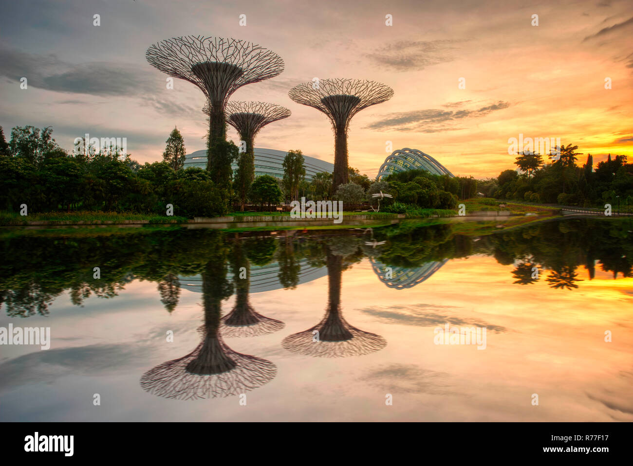 Singapour 8 décembre 2018, les jardins de la baie au lever du soleil, les arbres super Banque D'Images