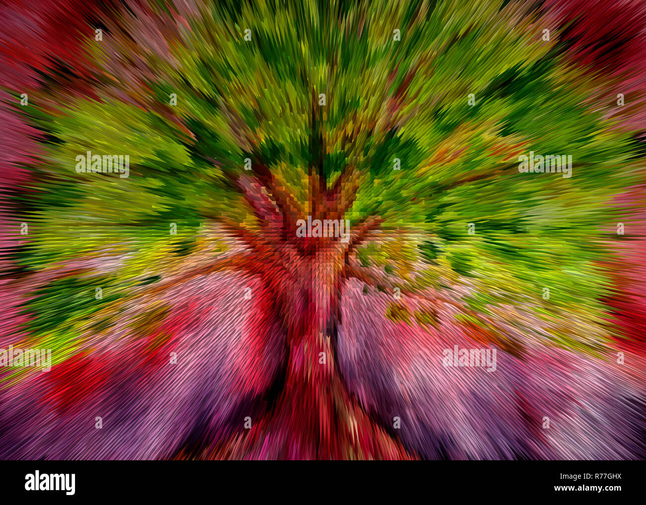 Explosion de couleurs d'un poirier avec colombes et fond rouge. La technique du badigeonnage près des bords donne un effet de flou en raison de l'altération sur Banque D'Images