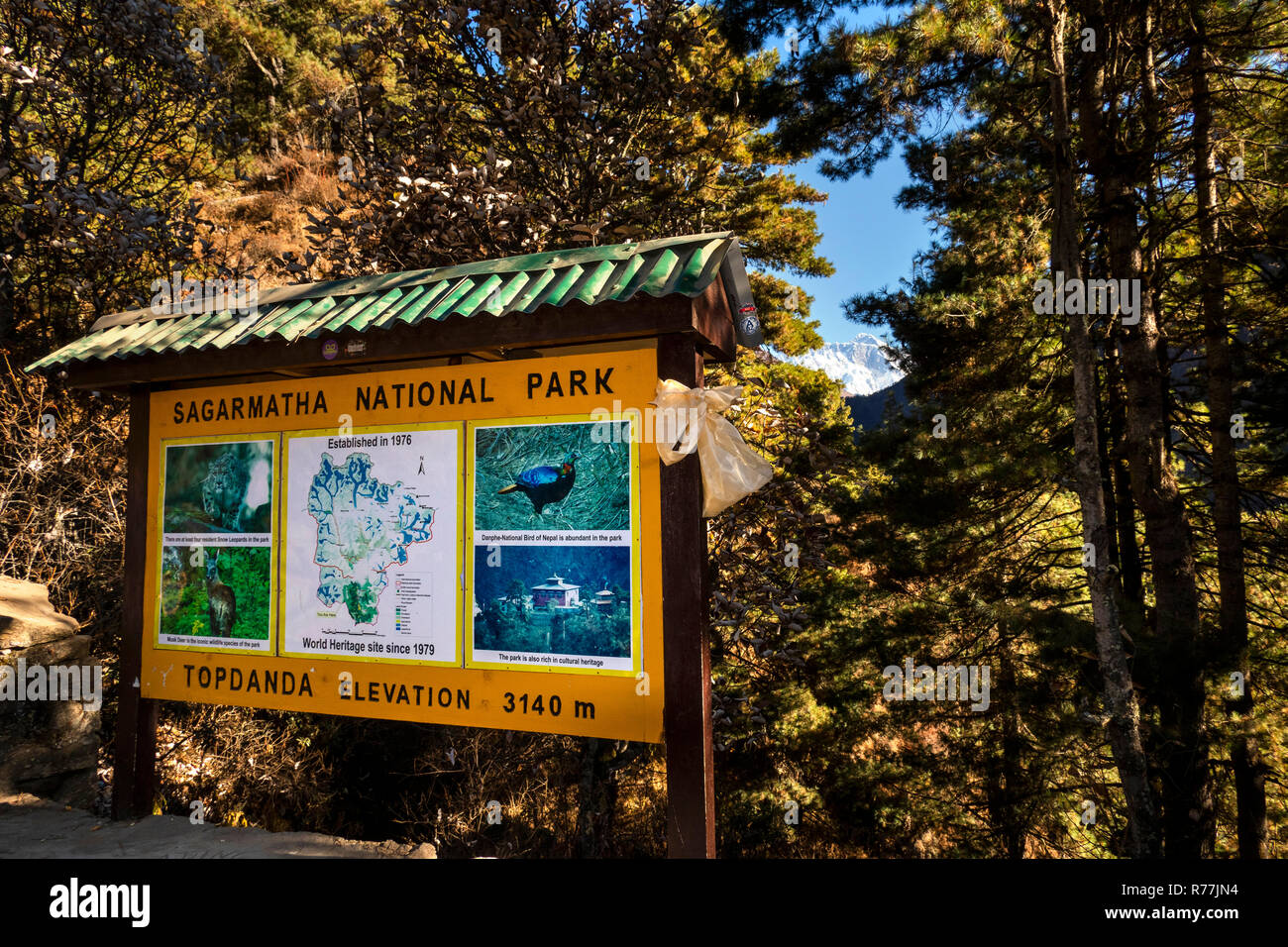 Le Népal, Namche Bazar, parc national de Sagarmatha, Topdanda point de vue de l'Everest et Lhotse à 3140m d'altitude Banque D'Images