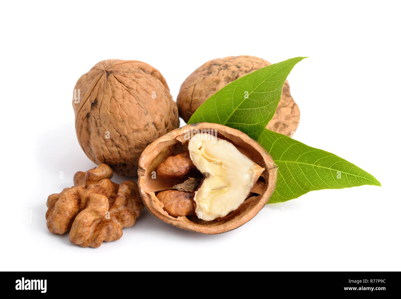 Noyer isolé sur fond blanc. Banque D'Images