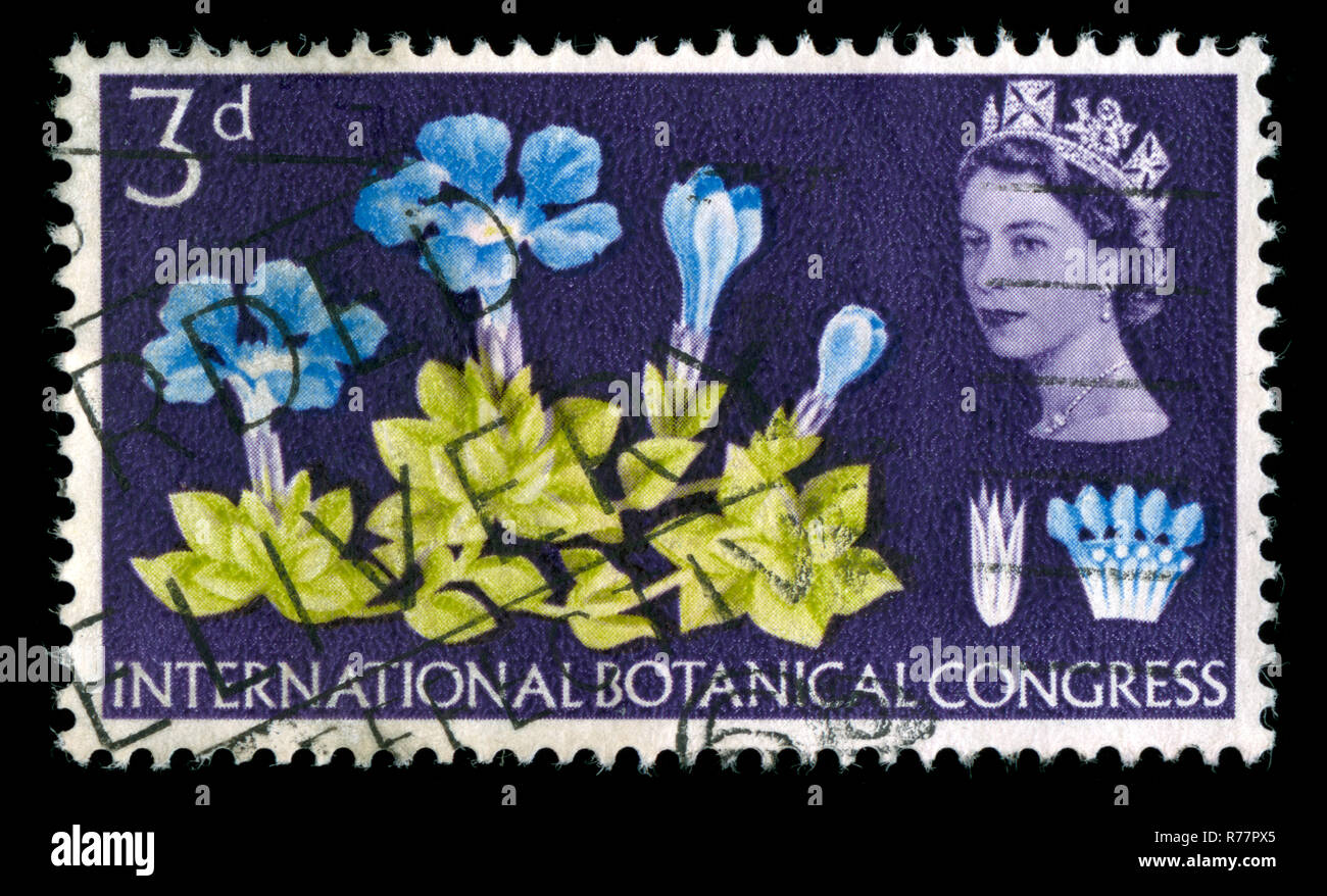 Timbre-poste à partir de la Grande-Bretagne dans la série Congrès Botanique publié en 1964 Banque D'Images