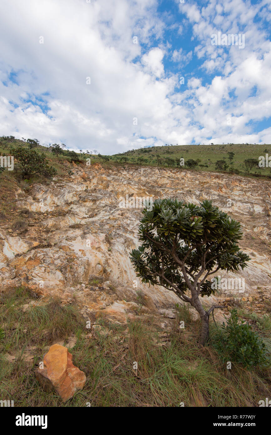 site de rencontres à Barberton Mpumalanga