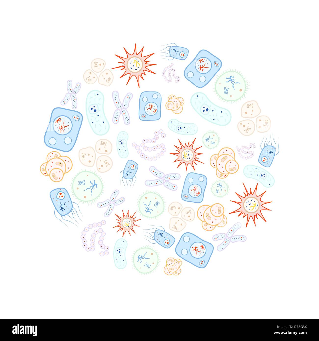 Ensemble de la biologie de couleurs vives, bactéries et virus les cellules disposées en cercle sur fond blanc Illustration de Vecteur