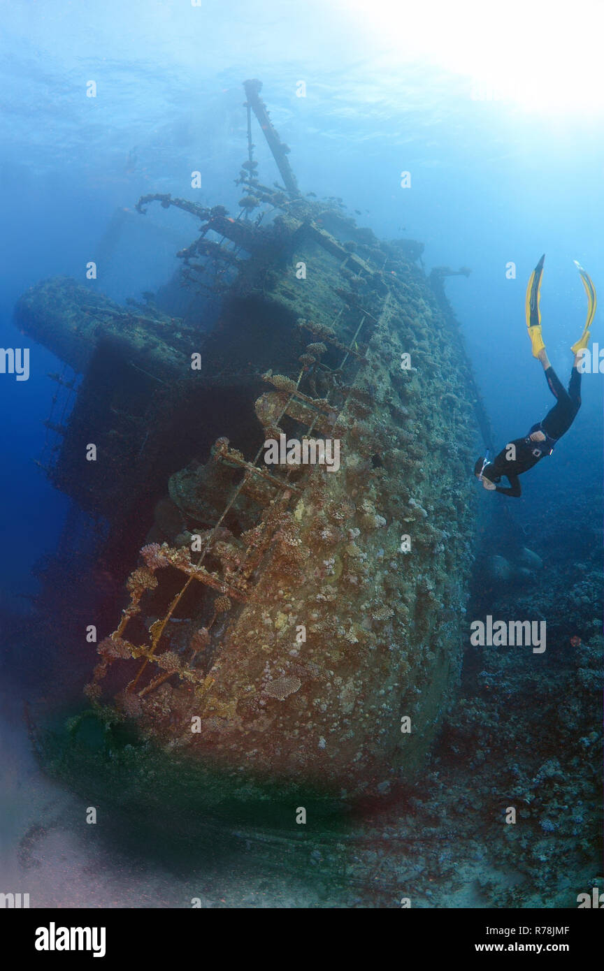 La plongée apnéiste Gianis D'épave, la mer Rouge, Charm el-Cheikh, Egypte Banque D'Images