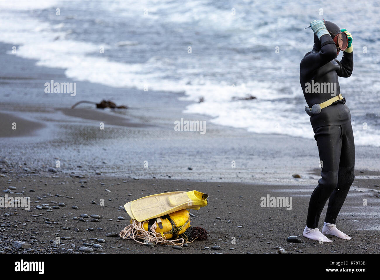 Ama diver debout sur une plage de galets, la préparation pour la plongée, Mie, Japon Banque D'Images