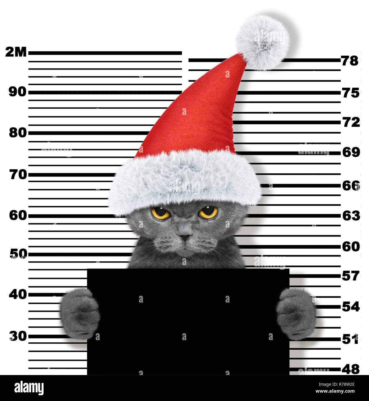Chat mignon en père Noël en prison. Isolé sur fond blanc Banque D'Images