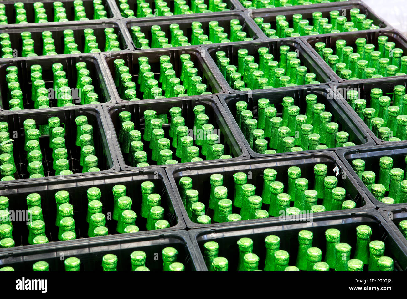 Les bouteilles de bière verte Banque D'Images