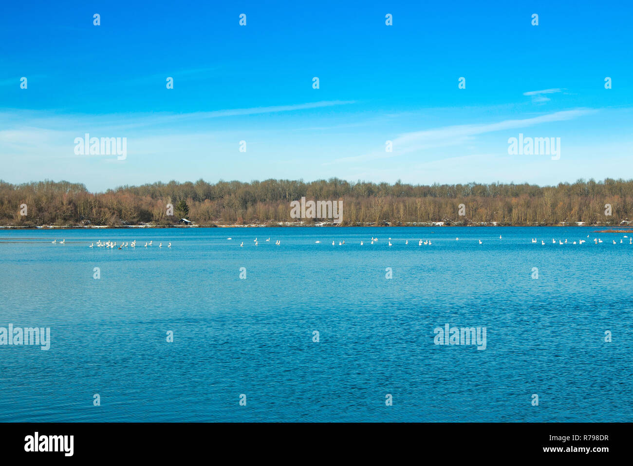 Nature croate, beau paysage, le lac en campagne dans Garesnica, Croatie Banque D'Images