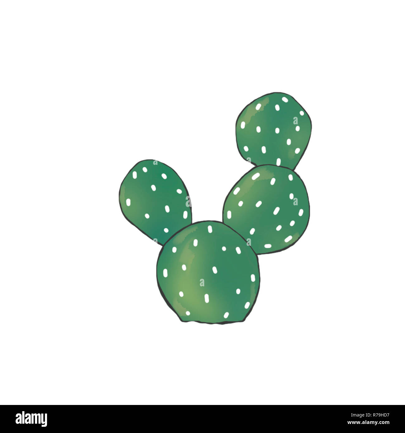 Cactus clip art illustration numérique sur fond blanc Banque D'Images