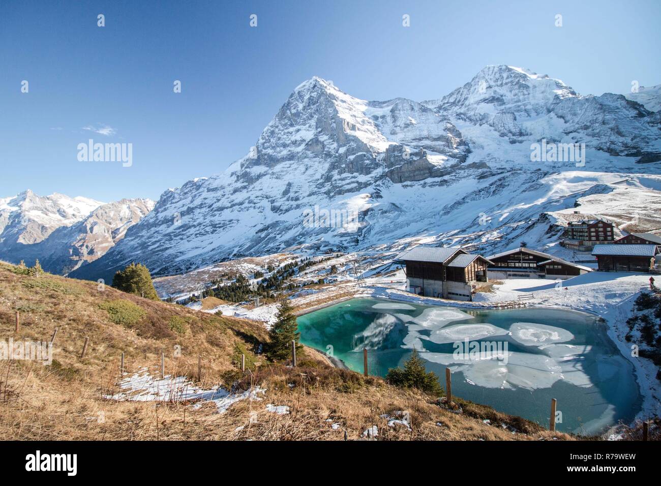 Vue idyllique sur le lac de montagne gelé et les montagnes enneigées de Grindelwald, Suisse Banque D'Images